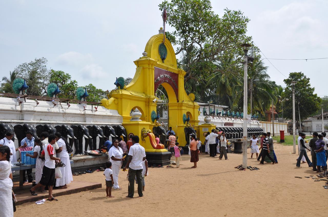 Hotel Camorich Tissamaharama Bagian luar foto